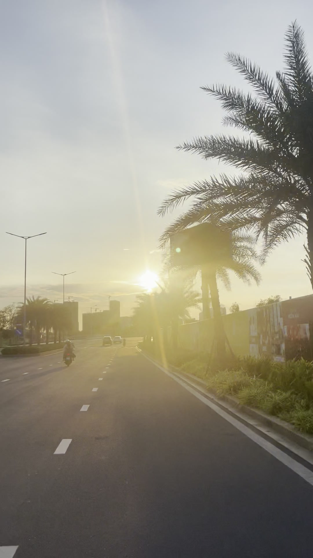 Nắng chiều vẫy gọi